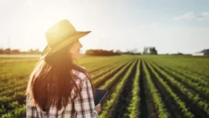 Formas Inteligentes de Investir no Agronegócio